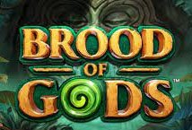 Brood of Gods slot